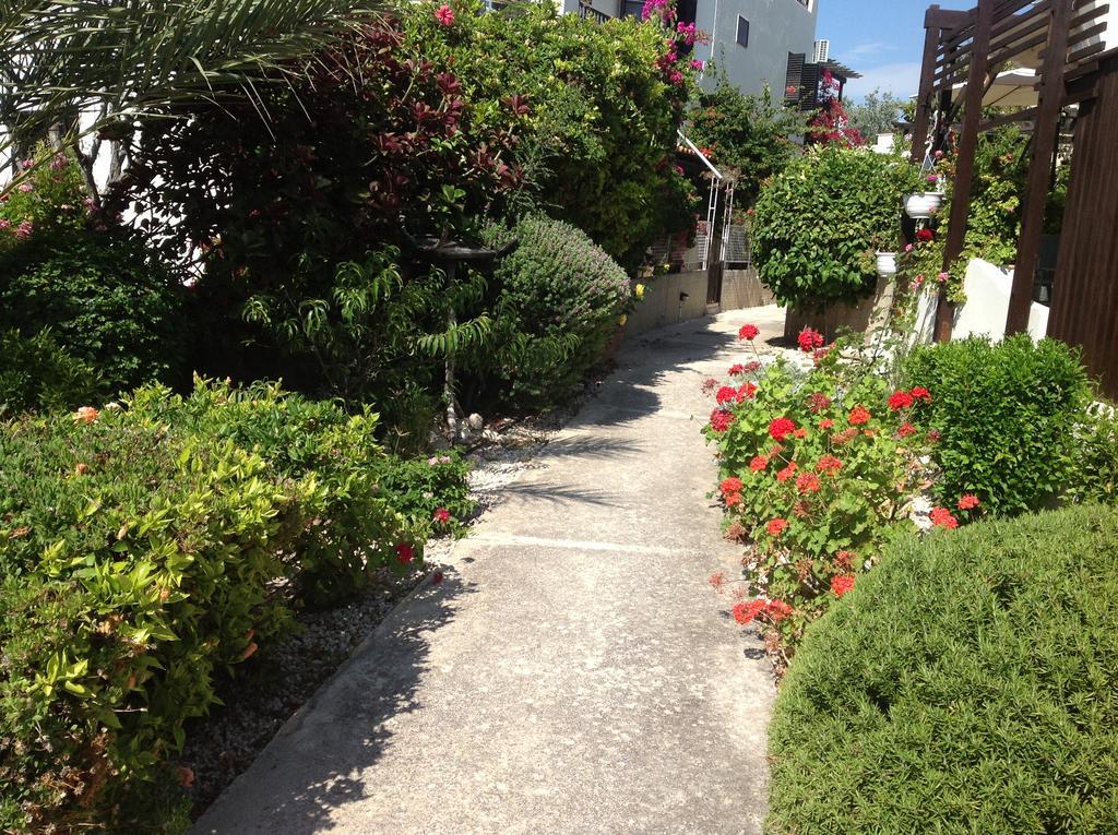 Paphos Townhouse Villa Dış mekan fotoğraf